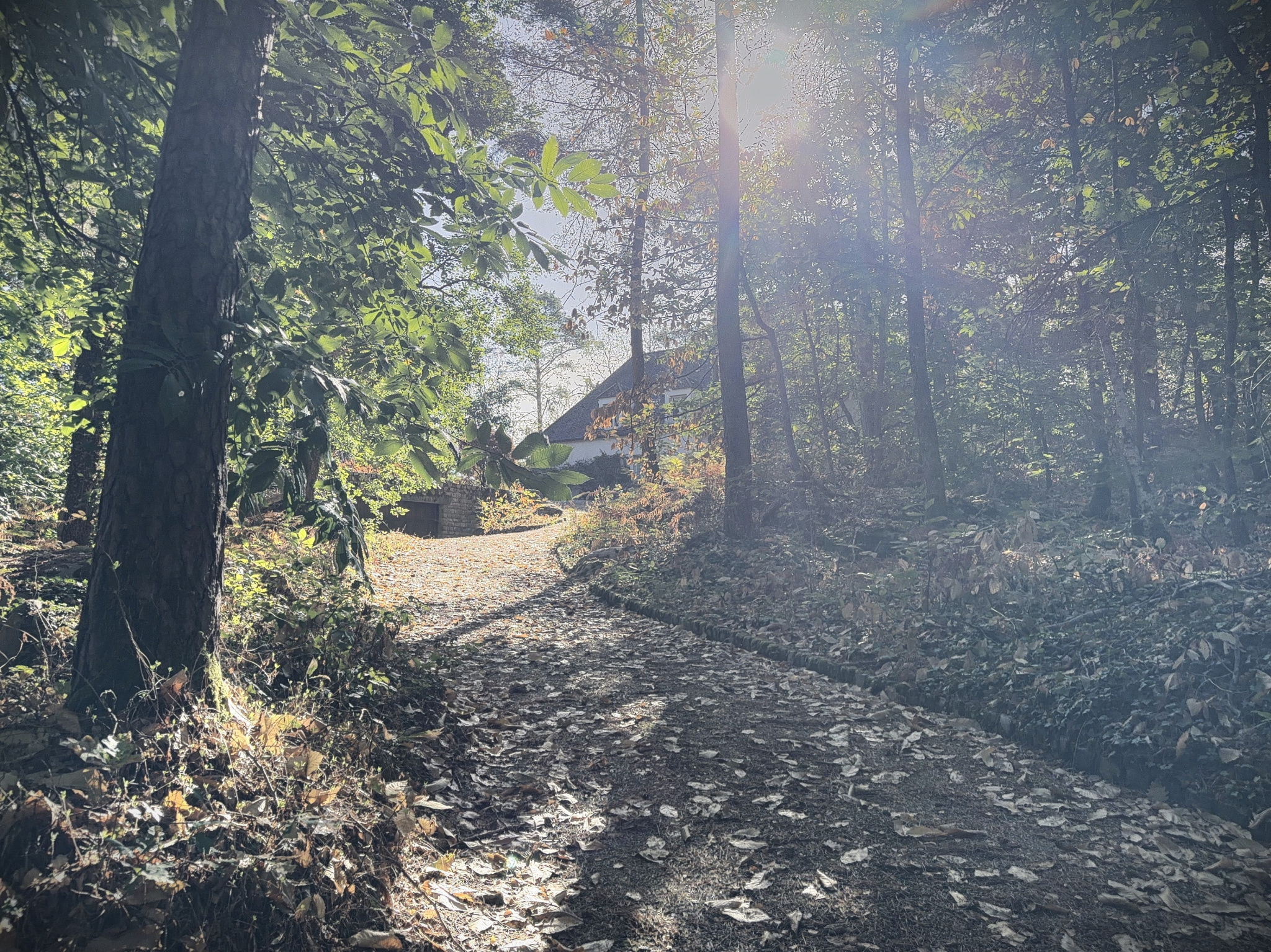 DEMEURE  D'EXCEPTION AVEC 6000 M2 DE TERRAIN